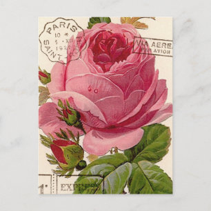 CARTE POSTALE VINTAGE PARIS POSTMARKS DEWY ROSE