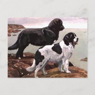 Carte postale vintage peinte de terre-neuve