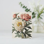 Carte Postale Vintage Peonies (Debout devant)