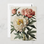 Carte Postale Vintage Peonies (Devant / Derrière)