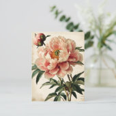 Carte Postale Vintage Peonies (Debout devant)
