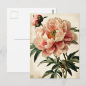 Carte Postale Vintage Peonies (Devant / Derrière)