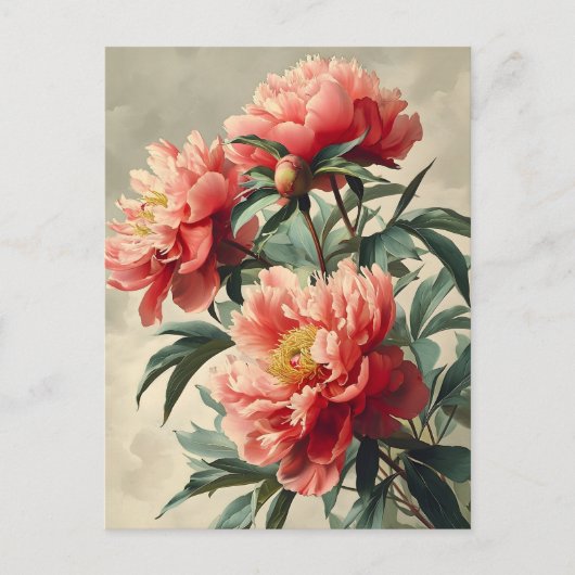 Carte Postale Vintage Peonies (Devant)