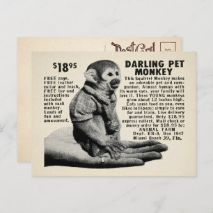Carte postale vintage Pet Monkey Mail
