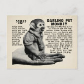 Carte postale vintage Pet Monkey Mail  (Devant)