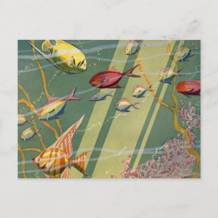 Carte Postale Vintage Poisson Antique Sous-Mer Mer Coloré