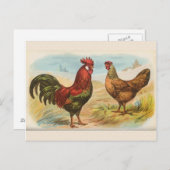 Carte postale vintage "Poulet de Leghorn" (Devant / Derrière)