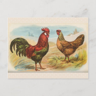 Carte postale vintage "Poulet de Leghorn"