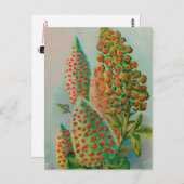 Carte Postale Vintage : publicité agricole - (Devant / Derrière)