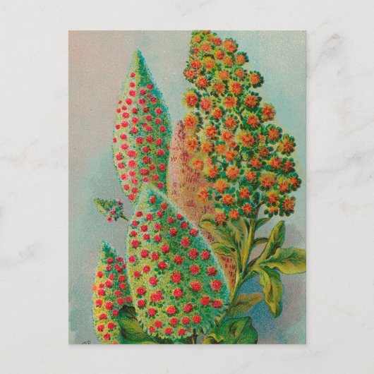 Carte Postale Vintage : publicité agricole - (Devant)