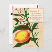 Carte Postale Vintage : publicité alimentaire - (Devant / Derrière)