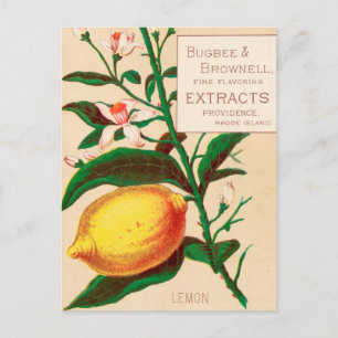 Carte Postale Vintage : publicité alimentaire -