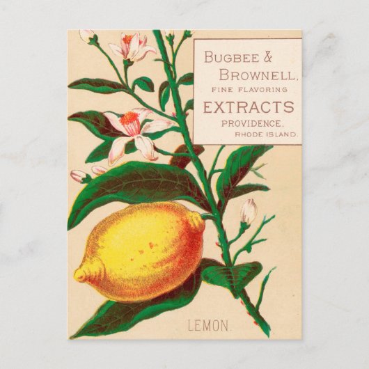 Carte Postale Vintage : publicité alimentaire - (Devant)