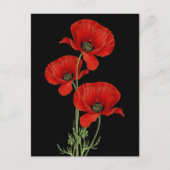 Carte Postale Vintage Red Poppies Botanique (Devant)