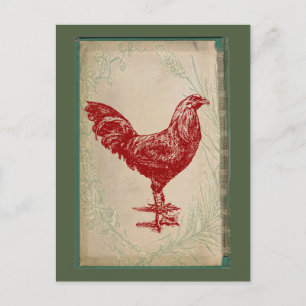 Carte Postale Vintage Red Rooster Shabby Chic Grunge Chicken