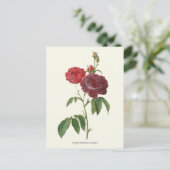Carte Postale Vintage Red Roses Botanique Imprimer (Debout devant)