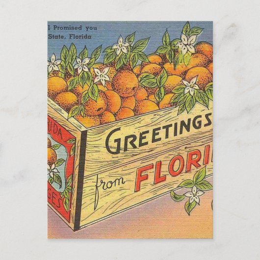 Carte Postale Vintage Retro de Floride (Devant)