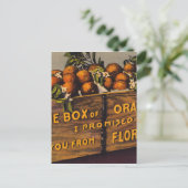 Carte Postale Vintage Retro de Floride (Debout devant)