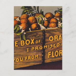 Carte Postale Vintage Retro de Floride