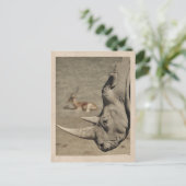 Carte postale vintage rhinocéros (Debout devant)