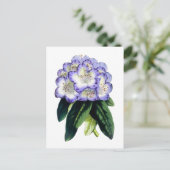 Carte postale Vintage Rhododendron (Debout devant)