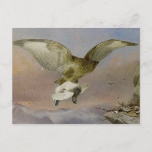 Carte Postale Vintage Richard Ansdell Buzzard avec Ptarmigan