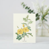 Carte Postale Vintage Rose Botanique (Debout devant)