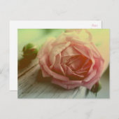 Carte postale vintage Rose Flower Floral (Devant / Derrière)