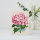 Carte postale vintage rose Hydrangea Flower (Debout devant)