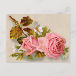 Carte postale Vintage Rose Spring