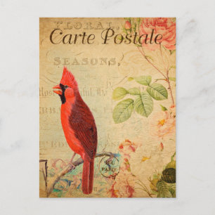 Carte Postale Vintage Rouge Cardinal Oiseau Fleurs florales Fran