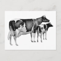 Vintage Russe ferme Vache de veau dessin noir blan