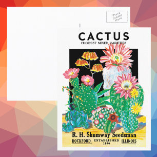 Carte Postale Vintage Seed Packet Étiquette Art Desert Cactus Pl