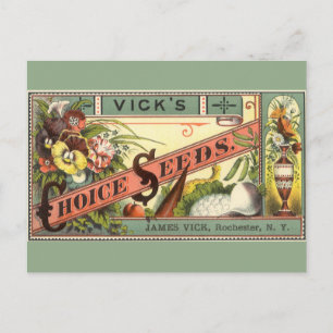 Carte Postale Vintage Seed Packet Étiquette Art, Vick's Choice S