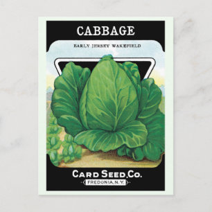 Carte Postale Vintage Seed Packet Label Art, Green Cabbage