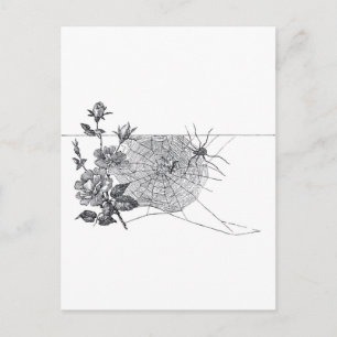 Carte Postale Vintage Spider Web et Rose noir blanc
