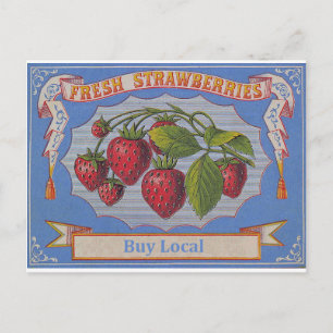 Carte Postale vintage strawberries