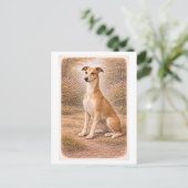 Carte Postale Vintage-Style Greyhound (Debout devant)