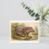 Carte Postale Vintage-Style Hippo Illustration (Debout devant)