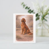 Carte Postale Vintage-Style Irish Setter (Debout devant)