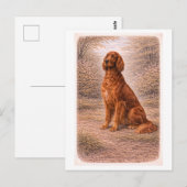Carte Postale Vintage-Style Irish Setter (Devant / Derrière)