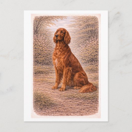 Carte Postale Vintage-Style Irish Setter (Devant)