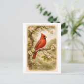 Carte Postale Vintage-Style Male Cardinal lllustration (Debout devant)