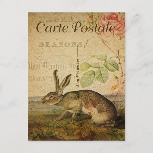 Carte Postale vintage Style Rabbit (Devant)