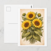 Carte Postale Vintage-Style Sunflower Botanical Illustration (Devant / Derrière)