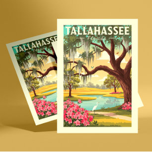 Carte Postale Vintage Tallahassee Floride
