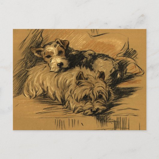 Carte Postale Vintage Terrier et Westie (Devant)
