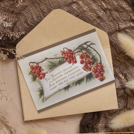 Carte Postale Vintage Thanksgiving Autumn Nuts