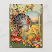 Carte Postale vintage Thanksgiving Dinde (Devant)