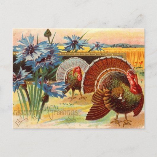 Carte postale vintage Thanksgiving Holiday turkey (Devant)